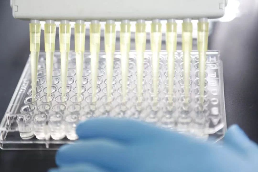 科研助力罕见病诊断：上海市公共卫生临床中心的技术突破