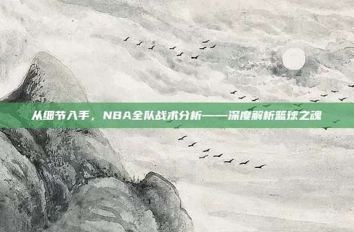 NBA战术体系深度解析：从基础到演变的全方位解读
