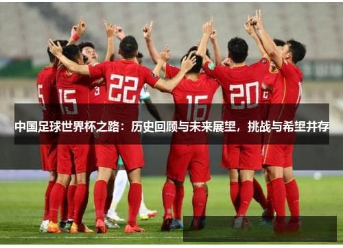 中国足球世界杯之路：历史回顾与未来展望