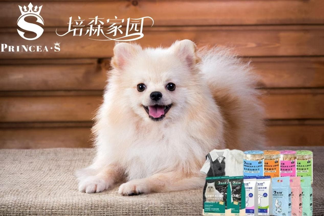 这些对狗狗有益的蔬果，你家的宝贝爱吃吗？
