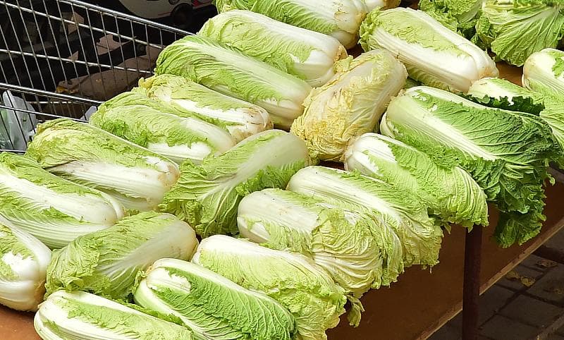 德研究：西洋菜成最健康蔬果，大白菜紧随其后