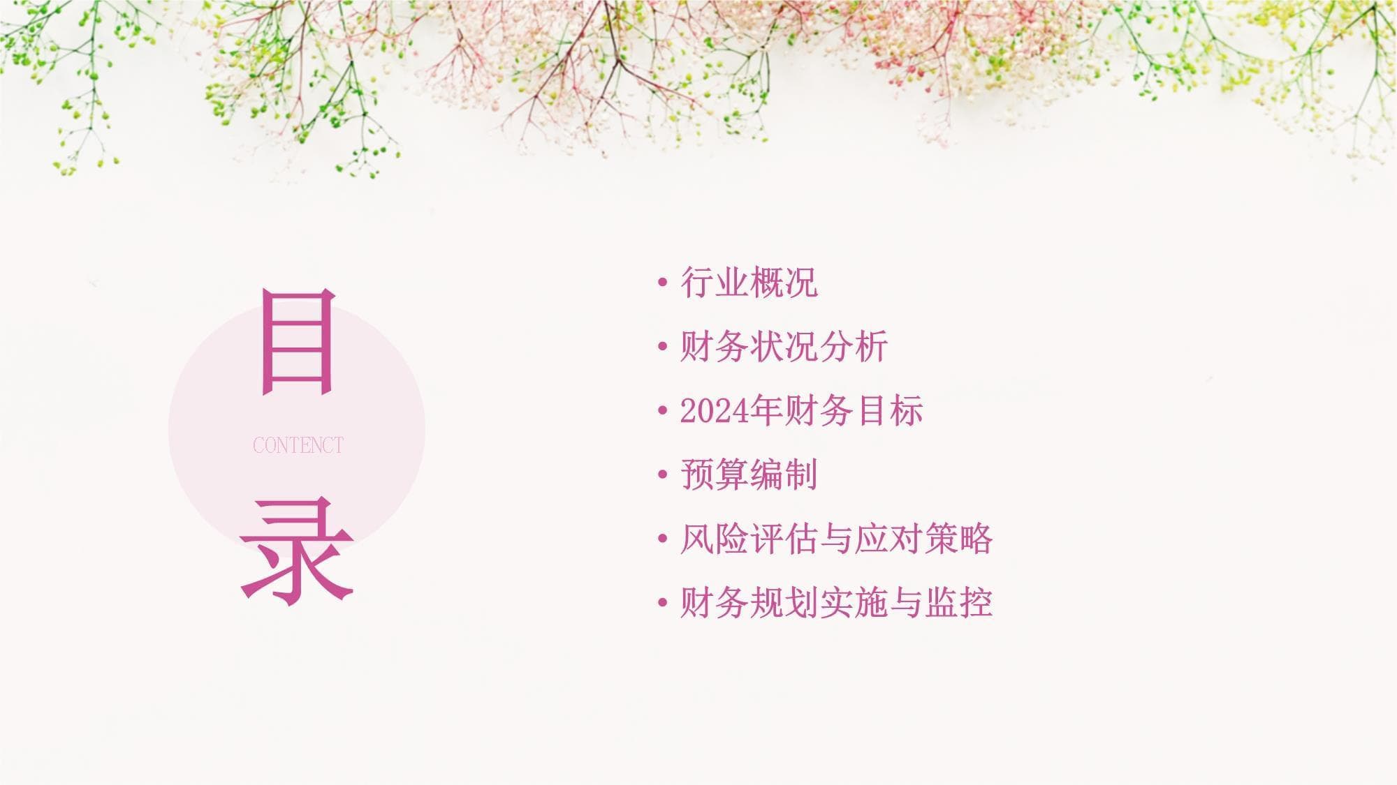 医美美容行业2024年财务规划与预算