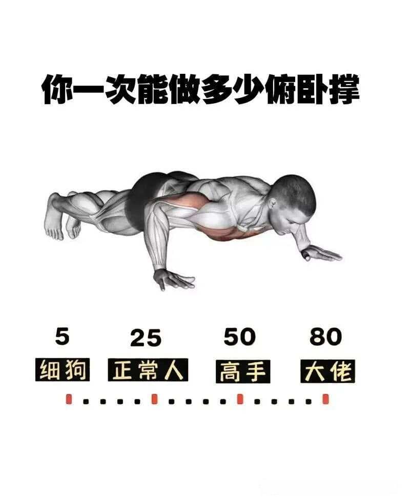 俯卧撑：力量与健康的双重革命