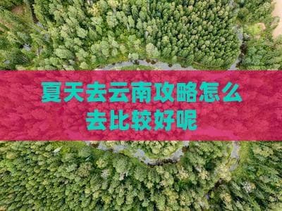 夏天去云南旅游攻略：交通、住宿、景点及必备信息一览