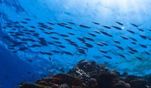 海平面下降比上升更可怕？未来百年，海平面可能下降100米