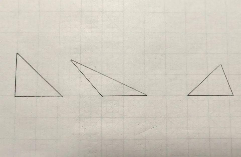 丽丽讲给孩子的数学：5 三角形初步