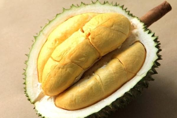 吃榴莲下奶还是回奶？产后吃榴莲有这8个好处：补充营养、促进食欲！