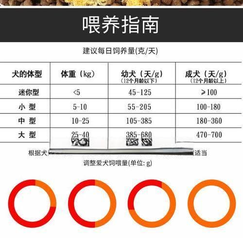 养泰迪新手必读：泰迪萌宠的全方位护理秘籍