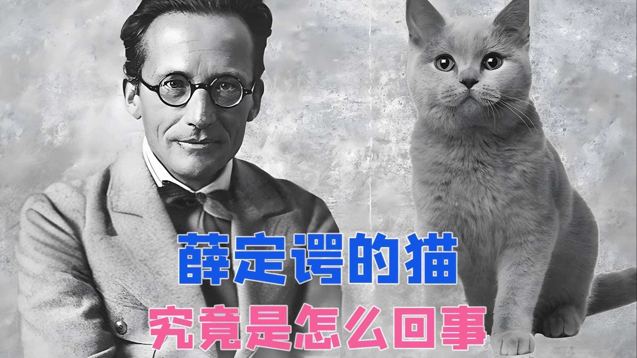 薛定谔的猫：一个思想实验背后的量子力学奥秘