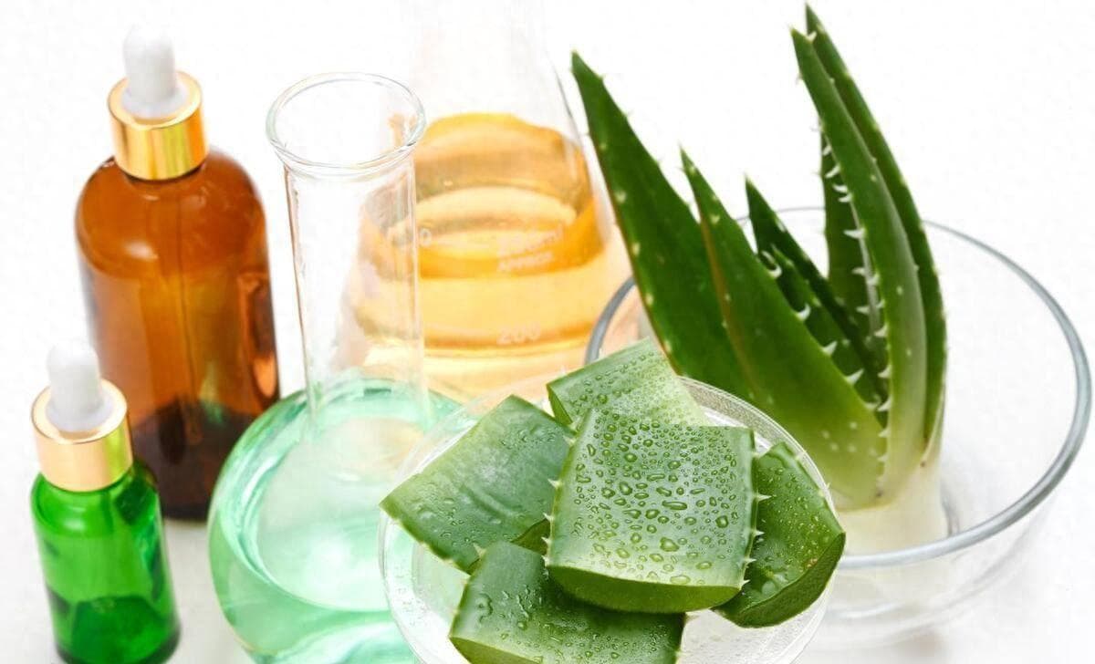 芦荟胶可以天天用吗？正确使用方法与注意事项