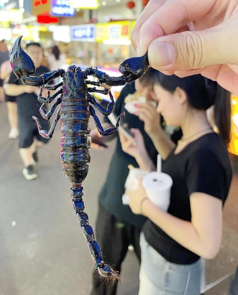 泉州夜市重口味的“昆虫宴” 你敢吃几种？