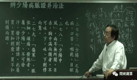 《伤寒论》中的少阳病：症状、诊断与治疗