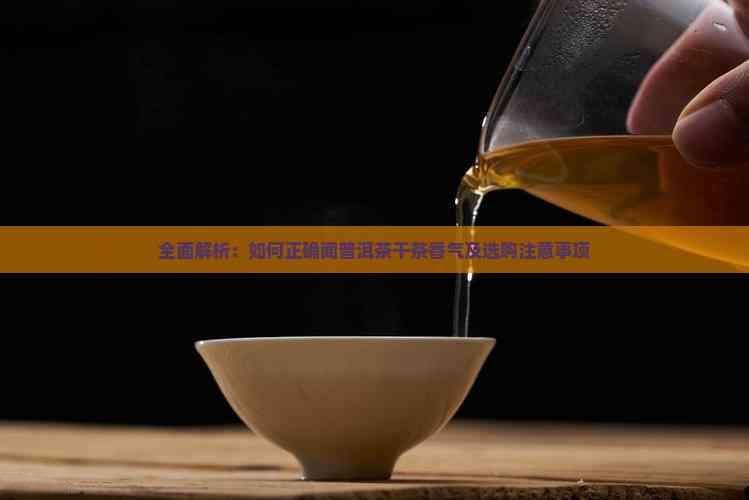 全面解析：如何正确闻普洱茶干茶香气及选购注意事项