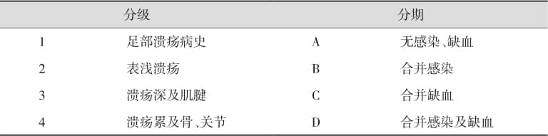 《糖尿病足综合诊治》