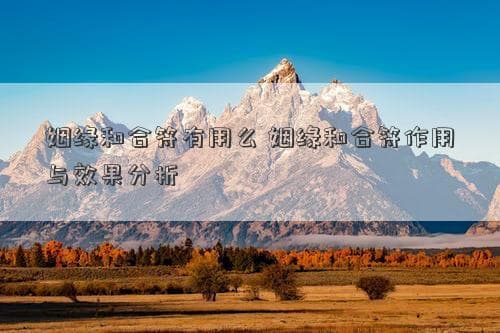 姻缘和合符有用么？作用与效果分析