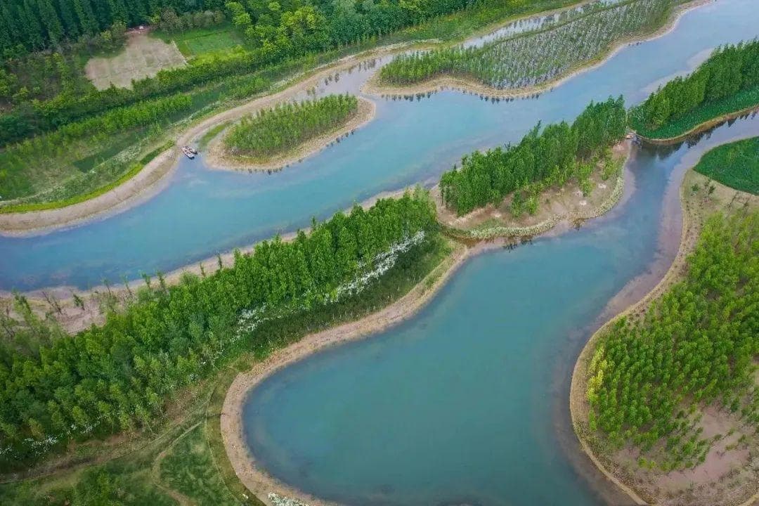 上海市“林水复合·水绿融合”示范案例系列展示①——崇明区花博园林水复合案例