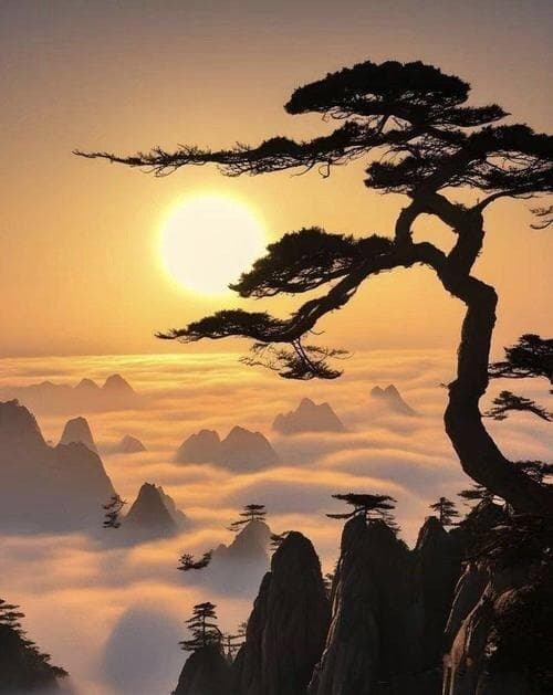 求助策略：高效沟通的艺术