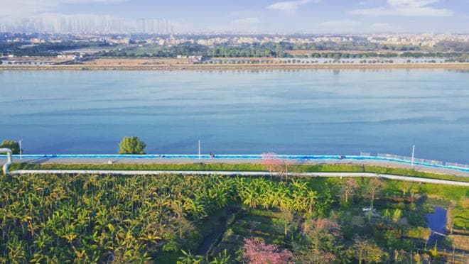 南沙四大骑行路线全攻略：从清晨到黄昏的“Country Ride”体验