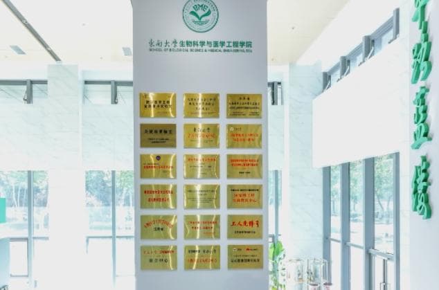 东南大学生物医学工程：融合创新，培养未来科技领军人才