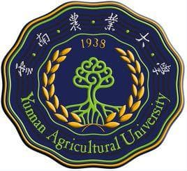 云南农大13个专业获评国家级一流本科，另有24个省级一流