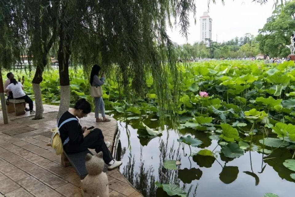 昆明适合长期居住吗？海拔1891米的昆明，长期居住需要注意什么？