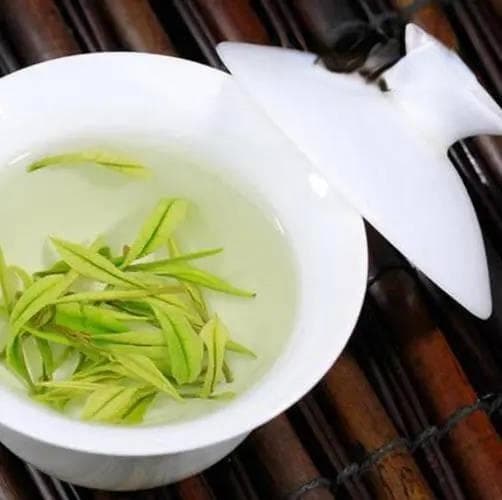 新白茶和老白茶的区别（安攸攸茶知识）