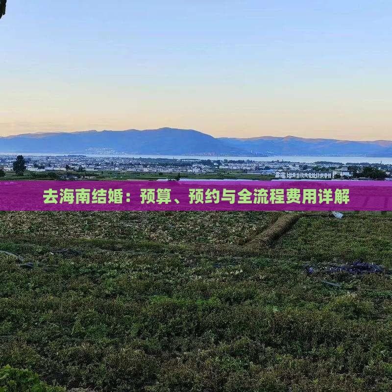去海南结婚：预算、预约与全流程费用详解