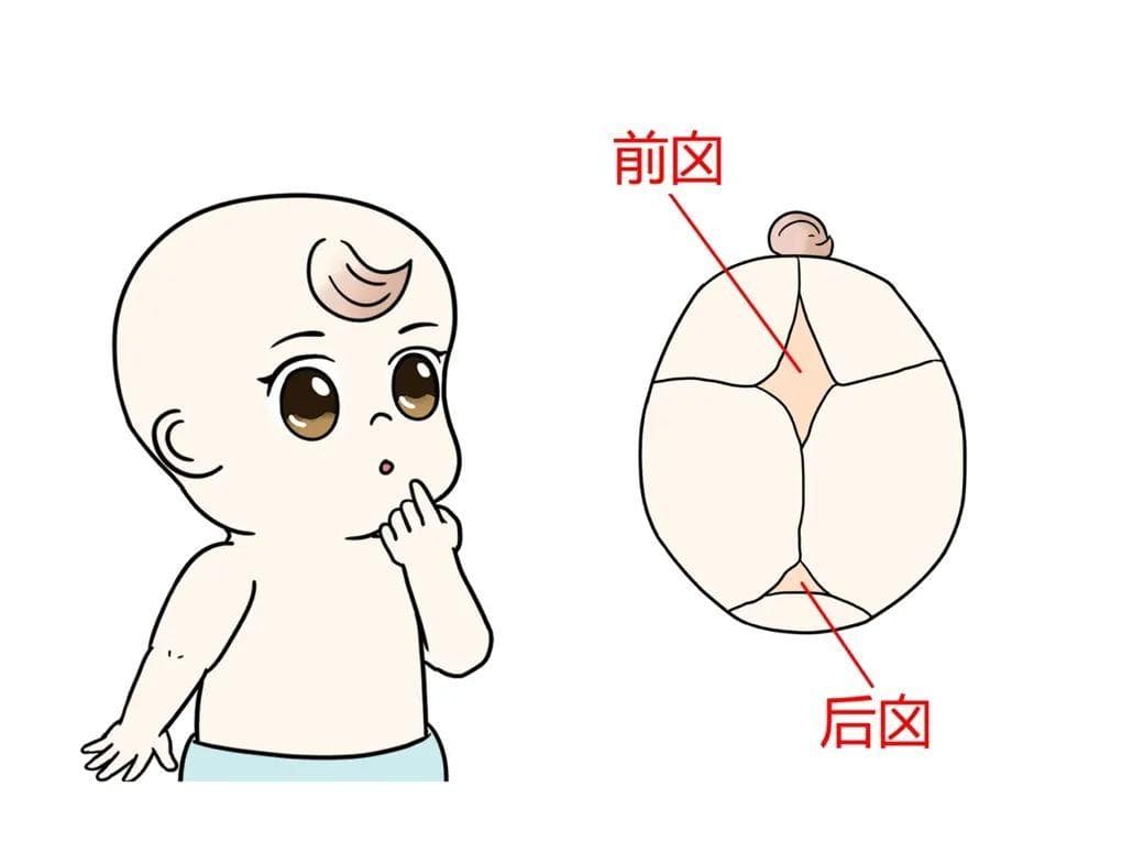宝宝1岁半前囟门还没闭合怎么办？