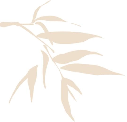 福建宁化：木活字印刷术的传承与创新