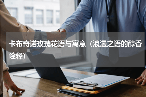 卡布奇诺玫瑰花语与寓意（浪漫之语的醇香诠释）