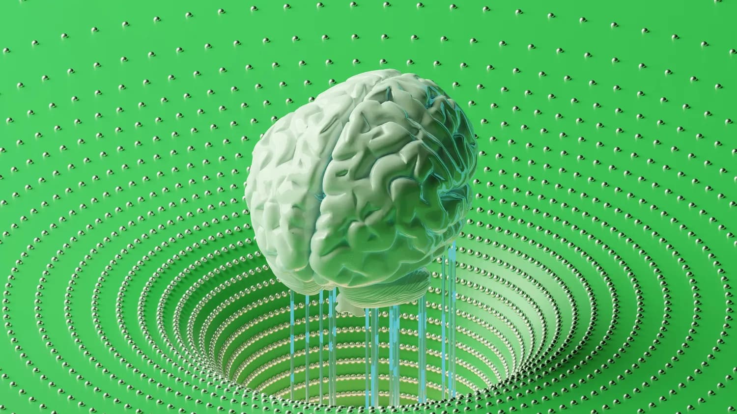 《DK脑科学养育指南》：用科学理论破解育儿难题
