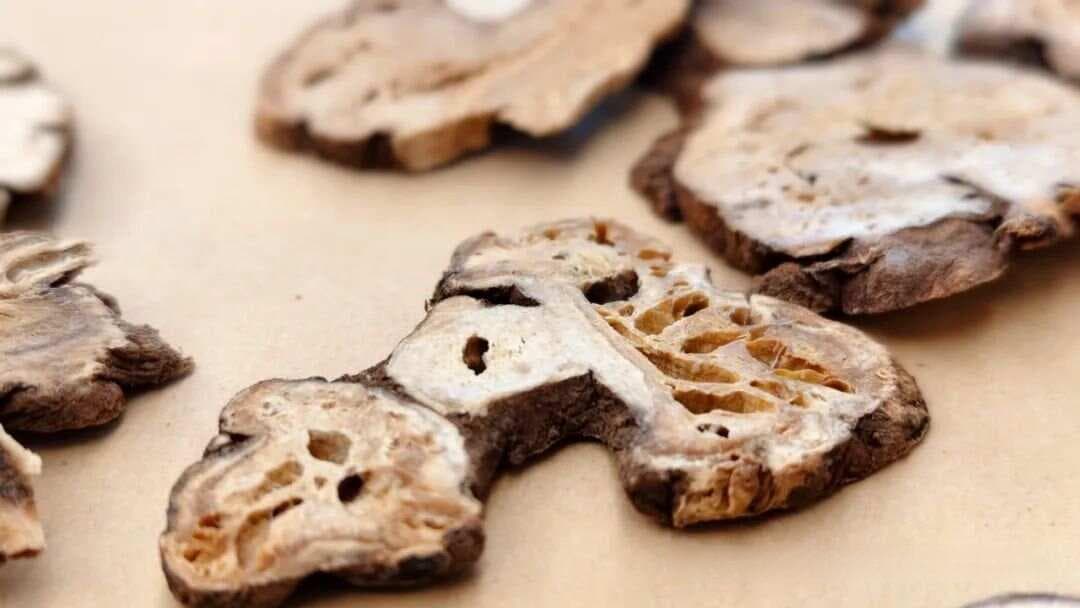 陈皮和白术：化痰祛湿的天然良方