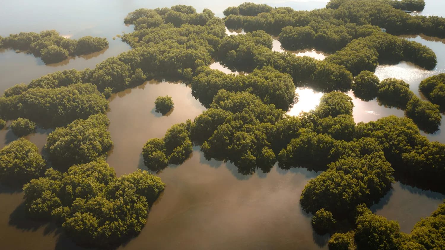 中科院力推：洞庭湖湿地保护新战略