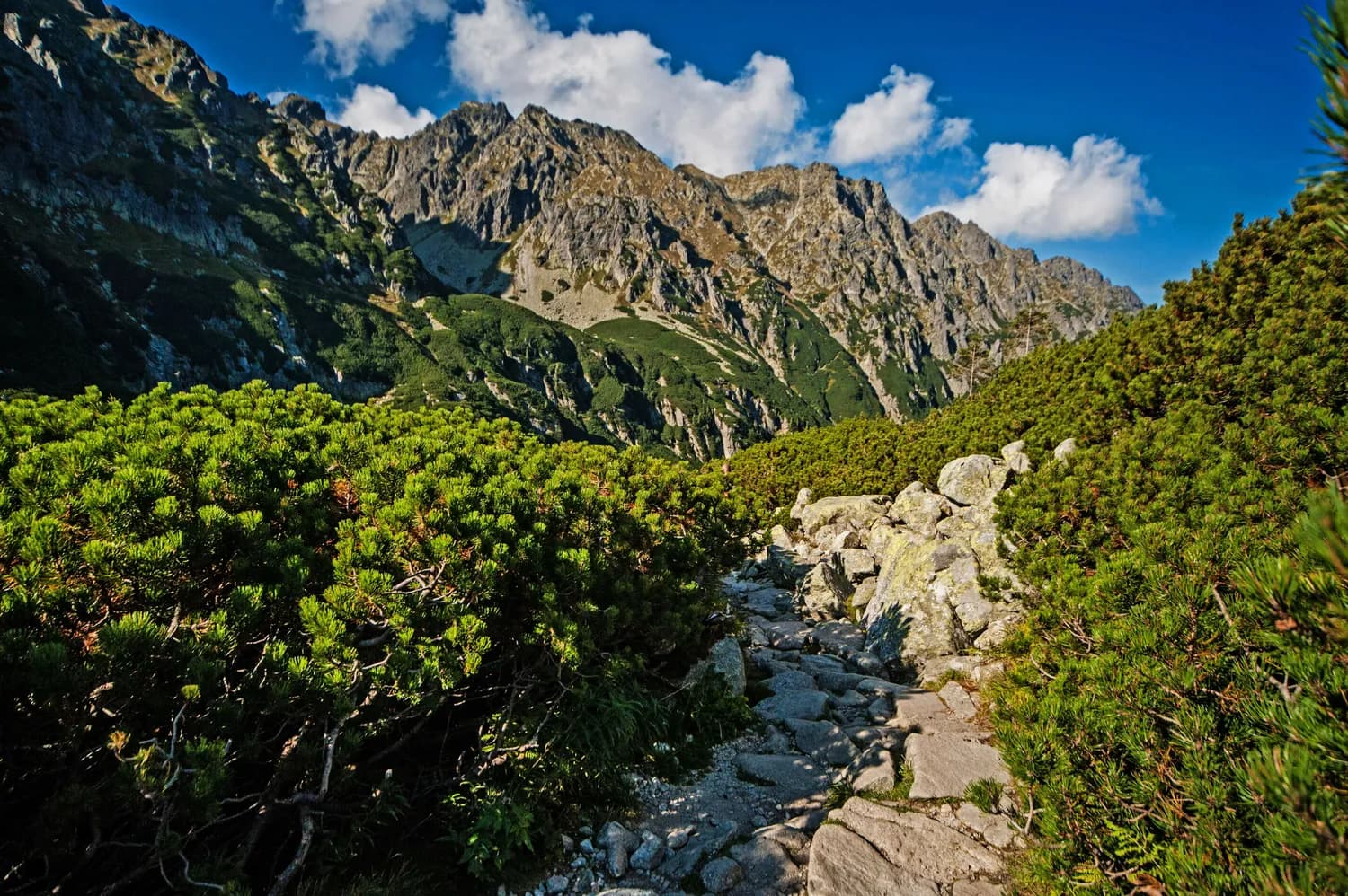 塔特拉山：斯洛伐克的自然奇迹