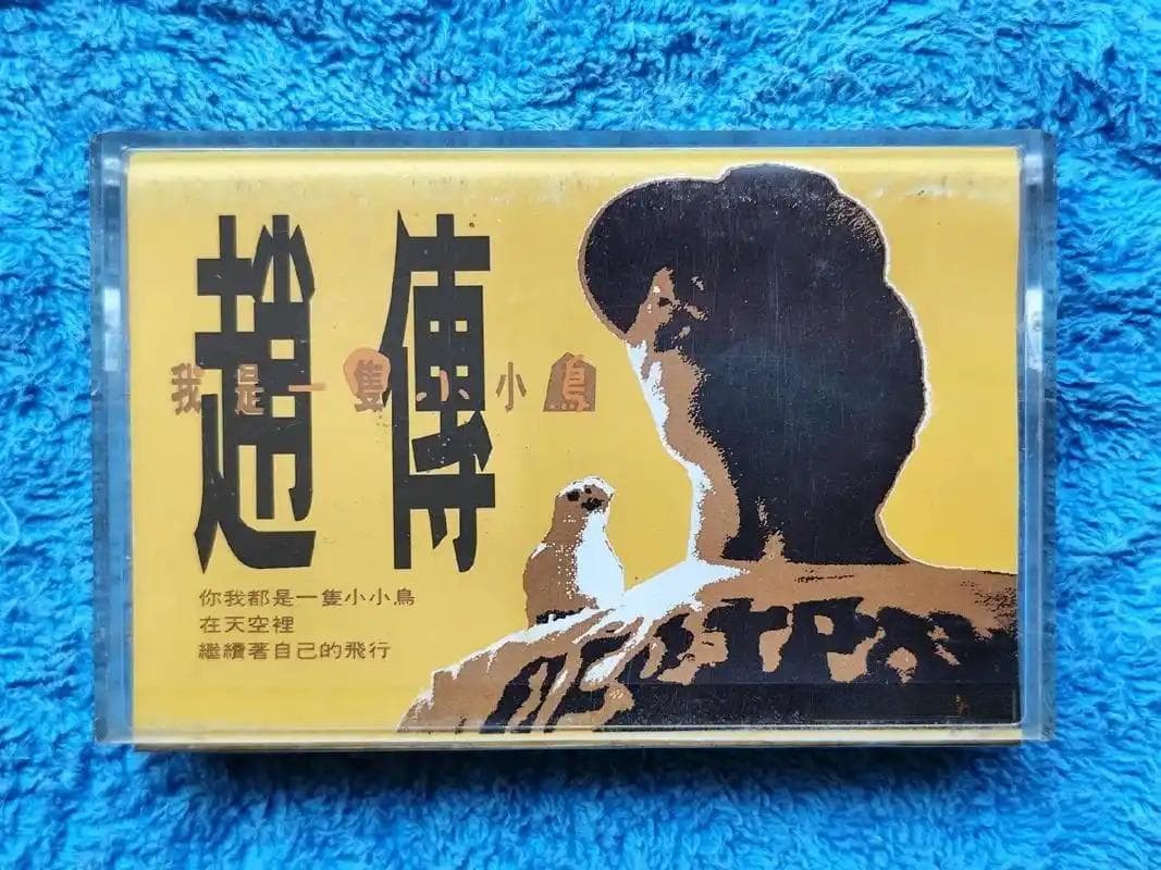《我是一只小小鸟》：赵传的经典之作