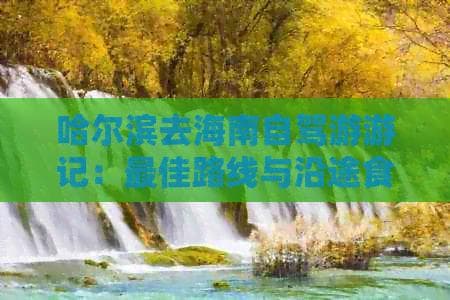 哈尔滨去海南自驾游攻略：最佳路线与沿途食宿指南