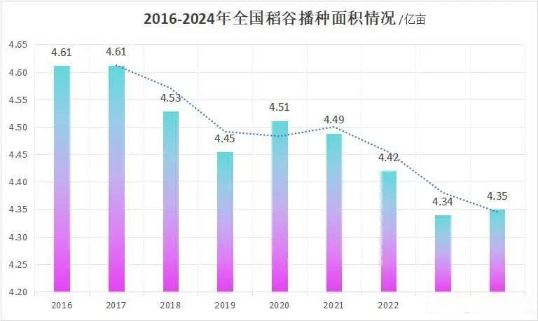 2025年中国稻米市场展望