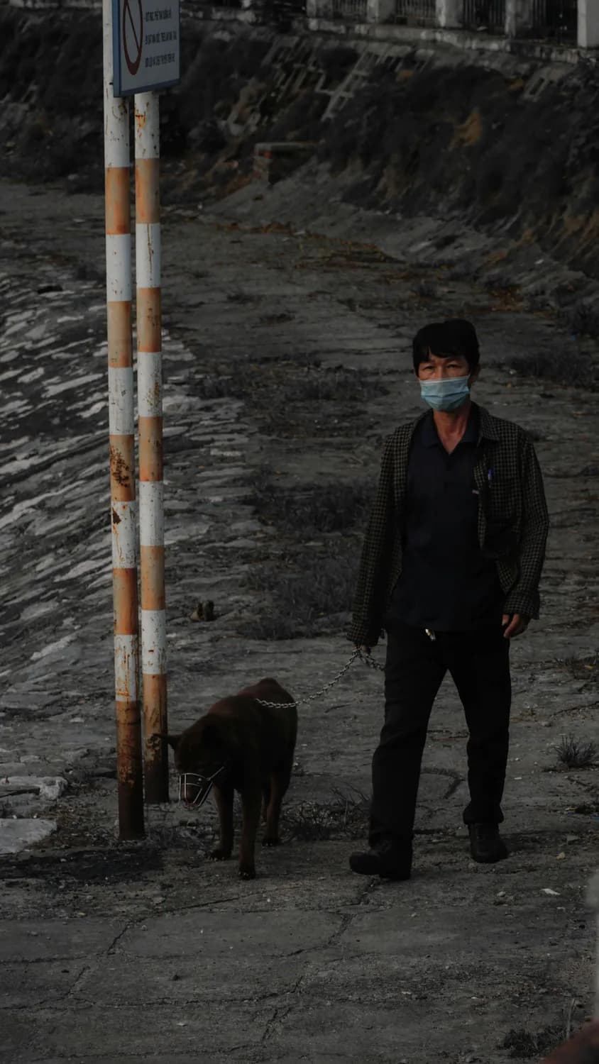 谢晋电影背后的骇人血案：程鹏连环杀人真相揭秘