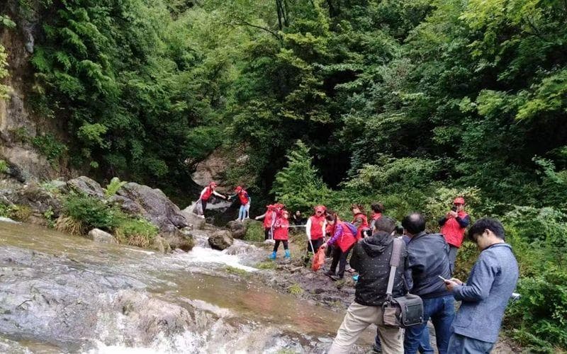 绿水青山踏歌行 三秦大地生态兴 陕西的青绿里面有什么？