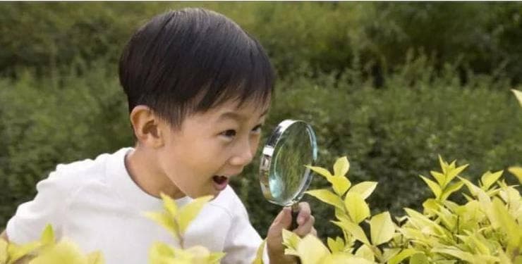 留心观察和细致观察：两种观察方式的区别与联系