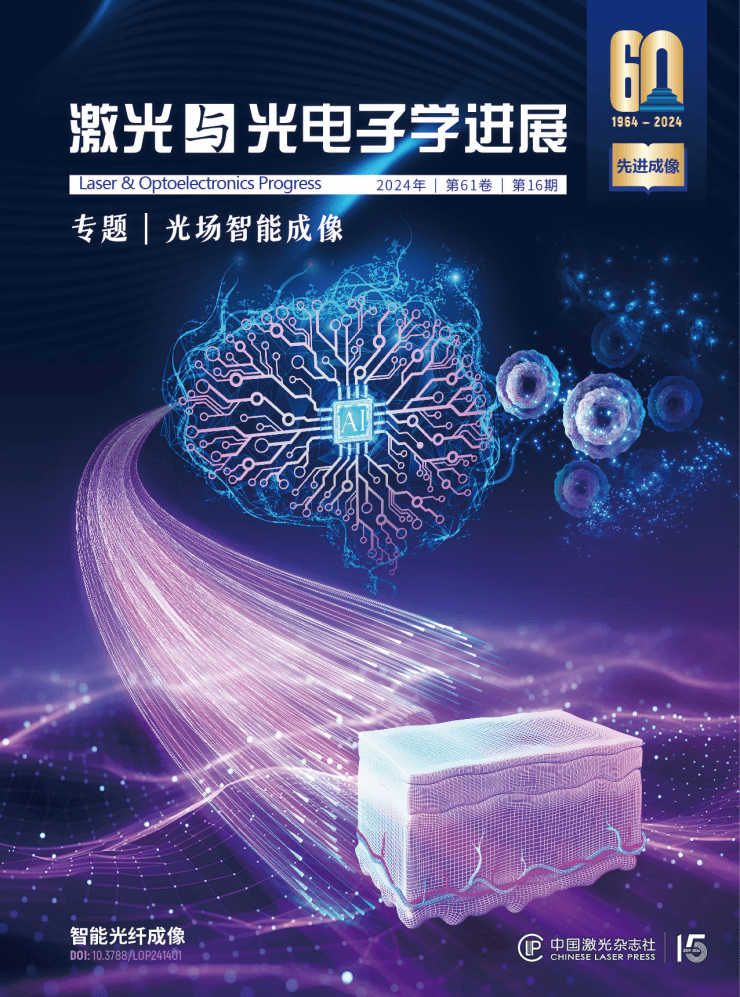 降噪、去伪影、提速率……综述深度学习在光纤成像中的应用