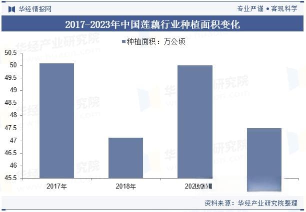 2024年中国莲藕行业发展现状分析：种植面积达47.5万公顷，产量突破千万吨