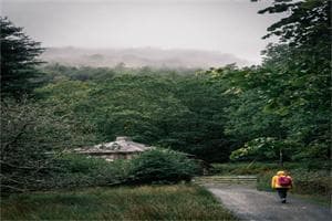 氮元素的化合价及其化合物