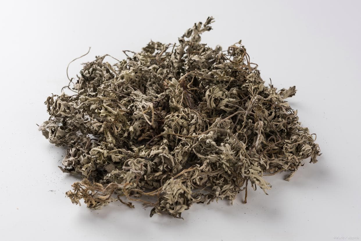 蒲公英根和什么搭配泡水喝好，蒲公英根的吃法与做法！