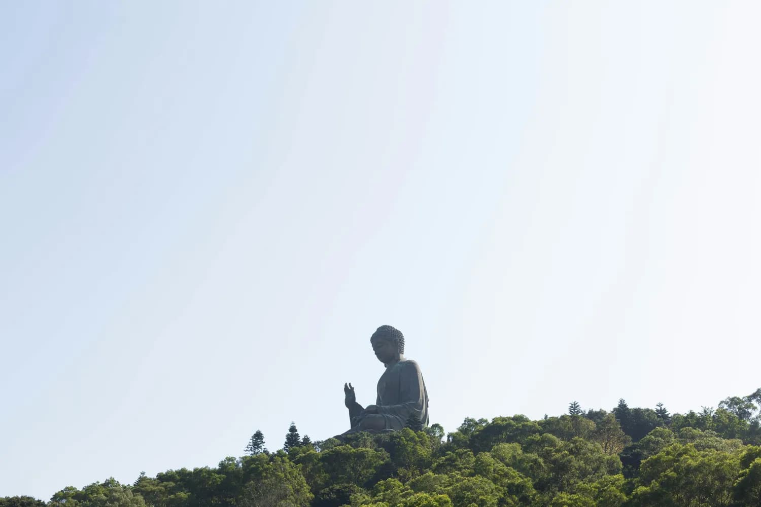 南山大佛：龙口市最美自然景观推荐