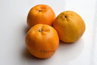永春十大特产