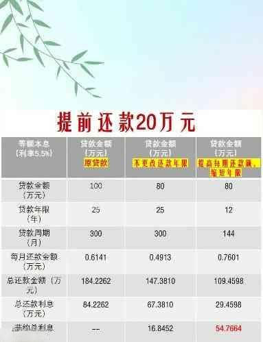 新12期还款计划详解：如何理解并合理安排个人贷款偿还？