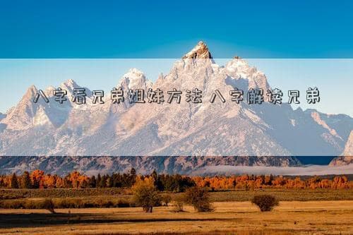 八字看兄弟姐妹方法 八字解读兄弟姐妹关系技巧