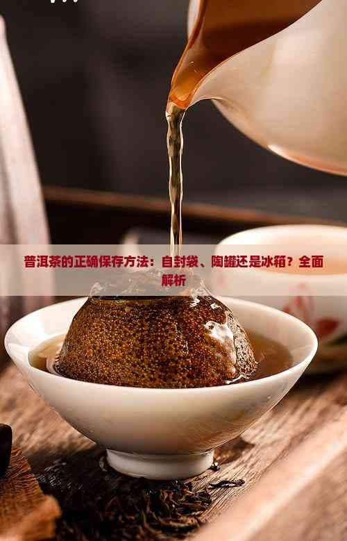 普洱茶的正确保存方法：自封袋、陶罐还是冰箱？全面解析