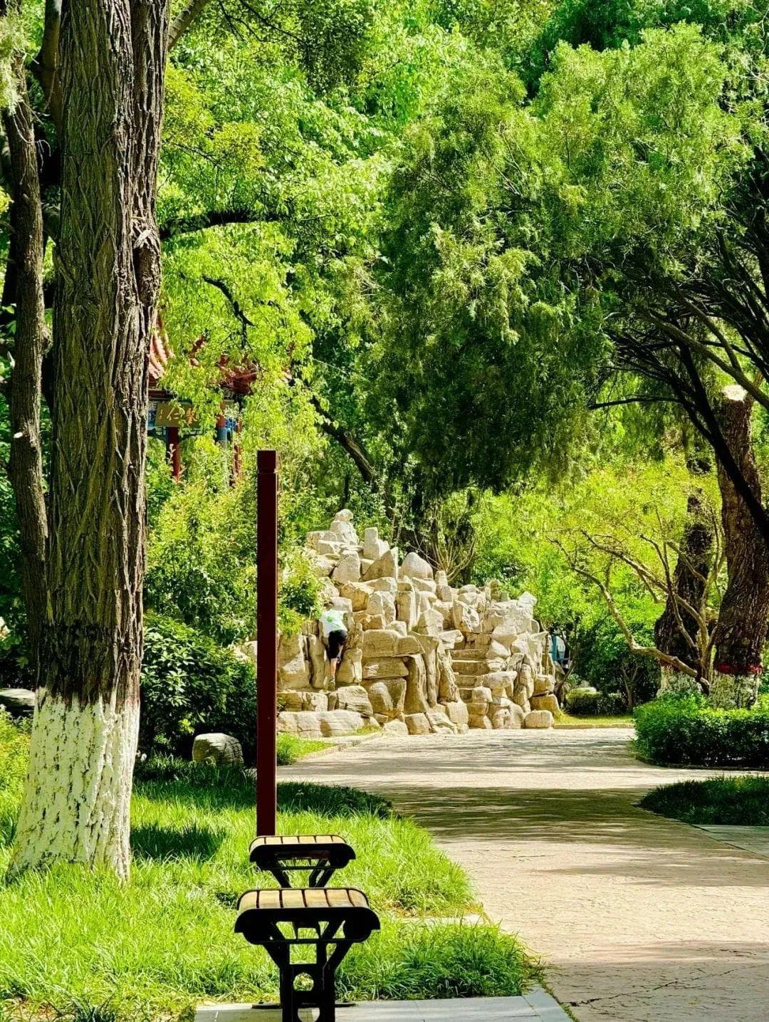 聊城春日游：七处绝美景点，不负春光不负卿